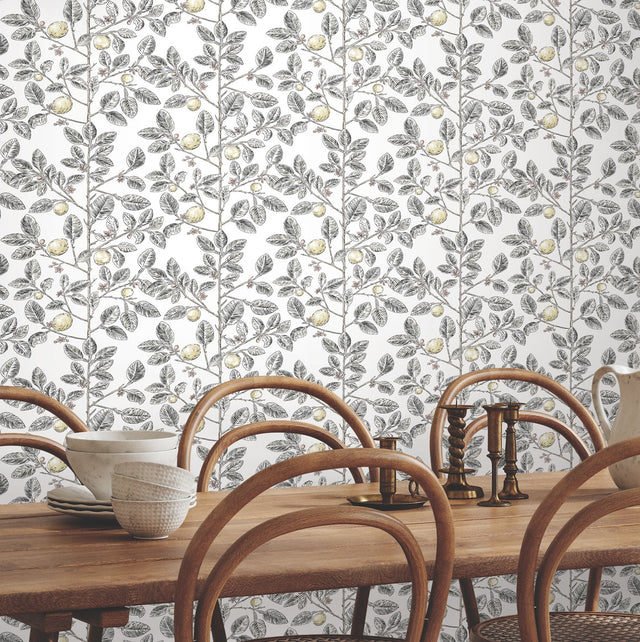 Limoncello Toile Black Wallpaper with Modern Botanical Toile Pattern - York RT7912