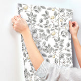 Limoncello Toile Black Wallpaper with Modern Botanical Toile Pattern - York RT7912