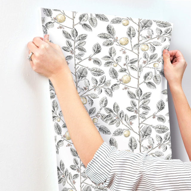Limoncello Toile Black Wallpaper with Modern Botanical Toile Pattern - York RT7912