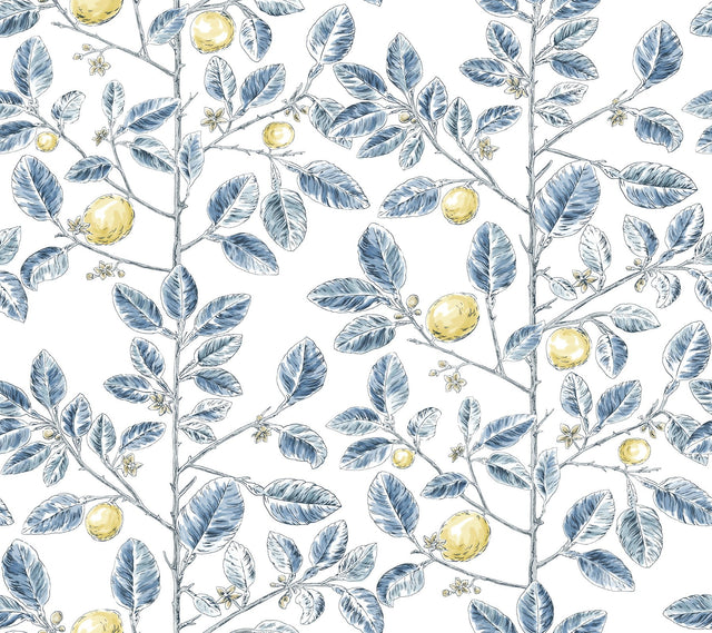 Limoncello Toile Blue Wallpaper with Modern Toile Lemon Tree Motif - York RT7913