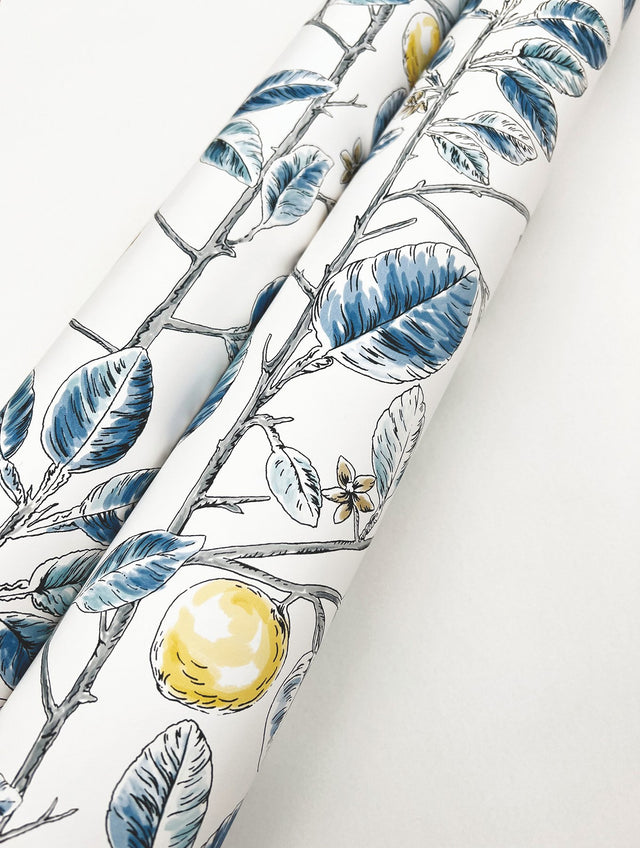 Limoncello Toile Blue Wallpaper with Modern Toile Lemon Tree Motif - York RT7913
