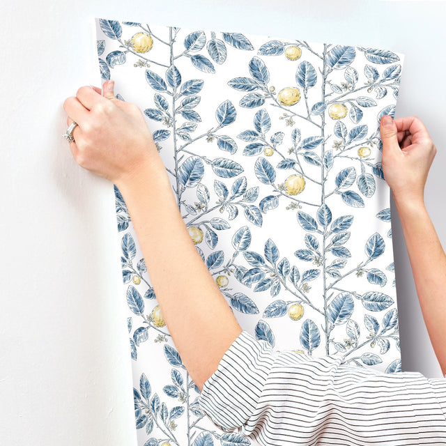 Limoncello Toile Blue Wallpaper with Modern Toile Lemon Tree Motif - York RT7913