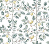 Limoncello Toile Forest Wallpaper with Modern Toile Botanical Motif - York RT7914