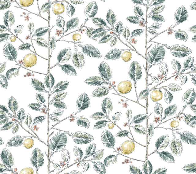 Limoncello Toile Forest Wallpaper with Modern Toile Botanical Motif - York RT7914