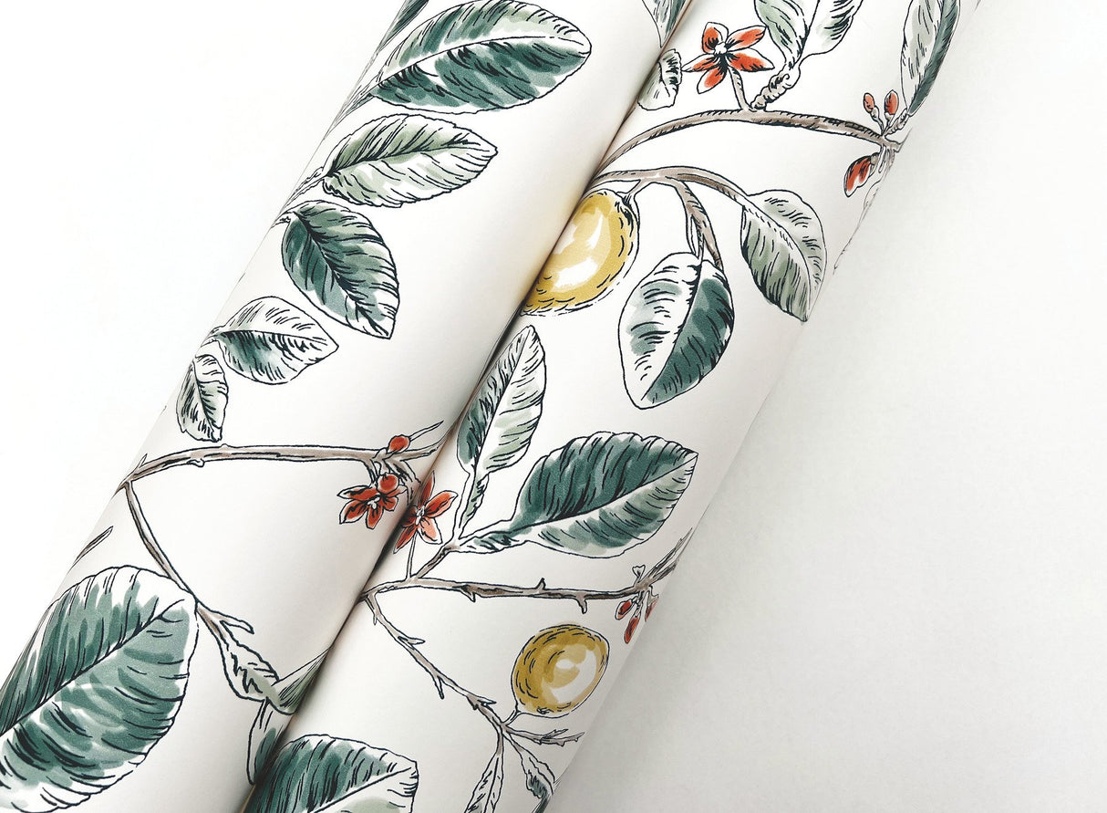 Limoncello Toile Forest Wallpaper with Modern Toile Botanical Motif - York RT7914