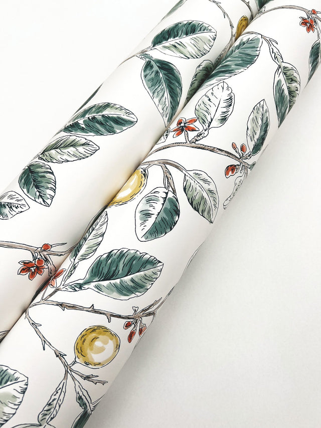 Limoncello Toile Forest Wallpaper with Modern Toile Botanical Motif - York RT7914