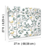 Limoncello Toile Forest Wallpaper with Modern Toile Botanical Motif - York RT7914