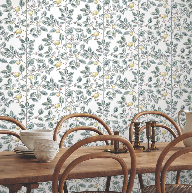 Limoncello Toile Forest Wallpaper with Modern Toile Botanical Motif - York RT7914