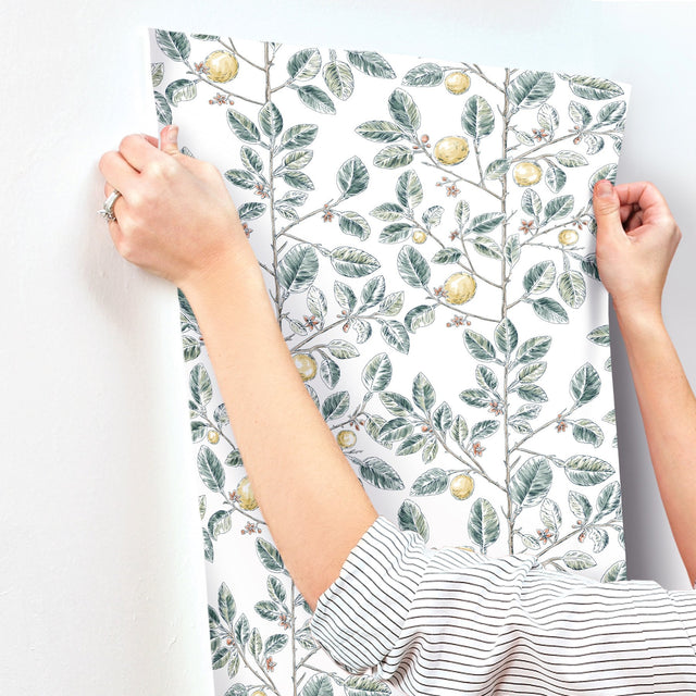 Limoncello Toile Forest Wallpaper with Modern Toile Botanical Motif - York RT7914