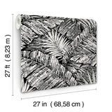 Palm Cove Toile White & Black Wallpaper with Tropical Toile Palm Fronds - York RT7921