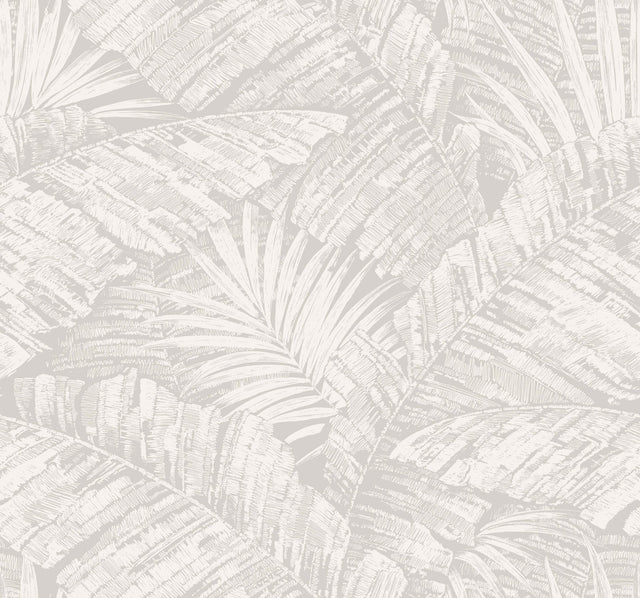 Palm Cove Toile White & Grey Wallpaper with Tropical Toile Leaf Pattern - York RT7922