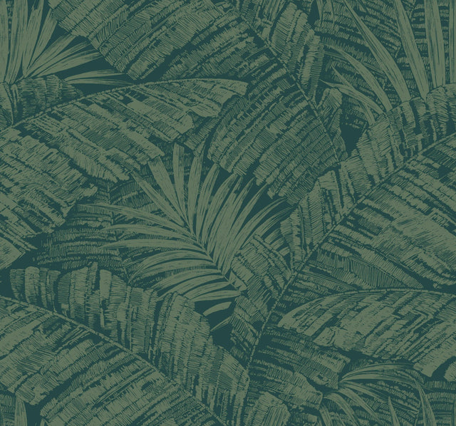 Palm Cove Toile Emerald Forest Wallpaper with Tropical Toile Pattern - York RT7924