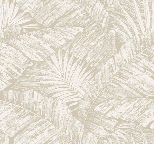 Palm Cove Toile White & Taupe Wallpaper with Tropical Toile Motif - York RT7926