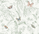 Papillon Blush Wallpaper with Tropical Toile Butterfly Motif - York RT7930