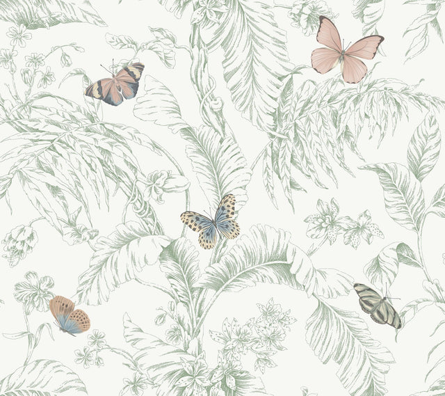 Papillon Blush Wallpaper with Tropical Toile Butterfly Motif - York RT7930