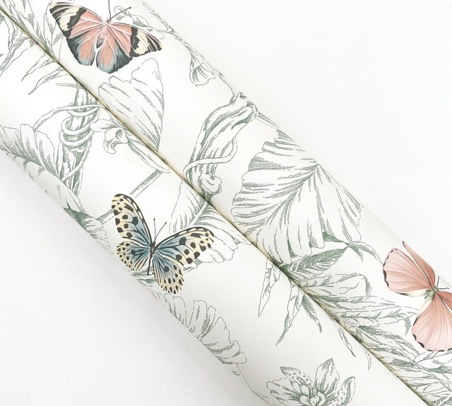 Papillon Blush Wallpaper with Tropical Toile Butterfly Motif - York RT7930