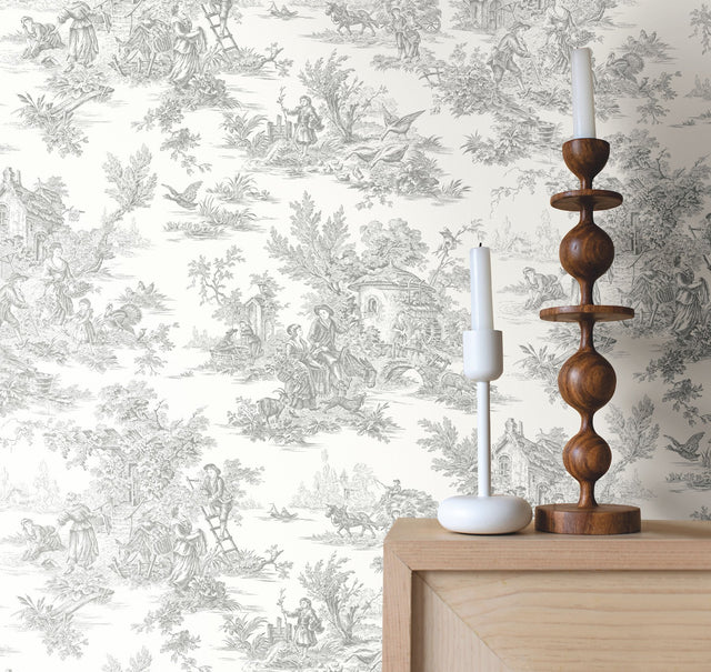 Campagne Toile Grey Wallpaper with Traditional Pastoral Toile Pattern - York RT7940