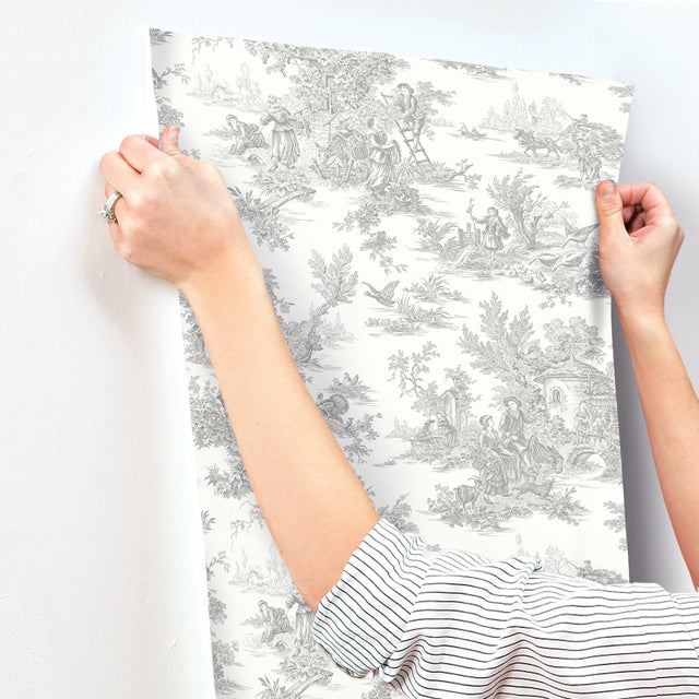Campagne Toile Grey Wallpaper with Traditional Pastoral Toile Pattern - York RT7940