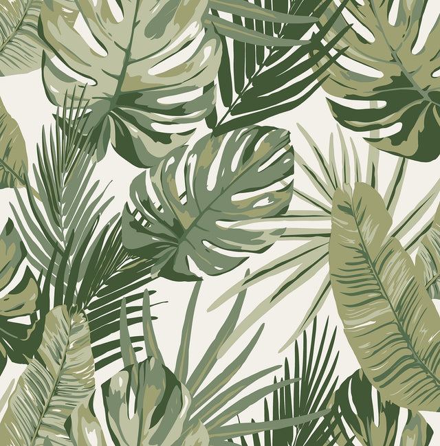 Palmero Green Peel & Stick Wallpaper with Tropical Botanical Leaf Pattern - NuWallpaper RZS4520