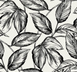 Black sketched leaf botanical wallpaper pattern on a light background