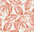 Beckett Sketched Leaves wallpaper in Rich Coral by Seabrook Designs