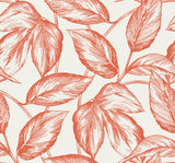 Beckett Sketched Leaves wallpaper in Rich Coral by Seabrook Designs