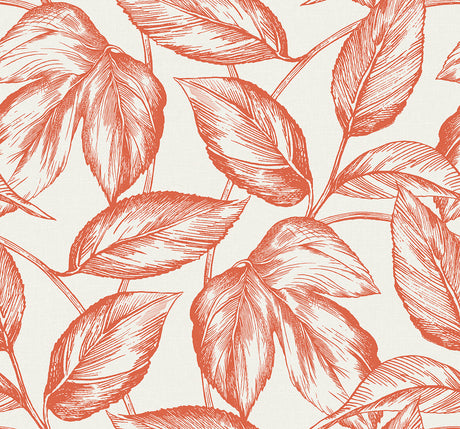 Beckett Sketched Leaves wallpaper in Rich Coral by Seabrook Designs