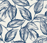 Blue and white sketched leaf botanical wallpaper pattern (Beckett Sketched Leaves, Blueberry Hill)