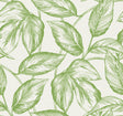 Beckett Sketched Leaves wallpaper in Apple Green featuring a sketched leaf botanical pattern on a light background