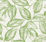 Beckett Sketched Leaves wallpaper in Apple Green featuring a sketched leaf botanical pattern on a light background