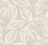 Beckett Sketched Leaves wallpaper in Oat with matte finish