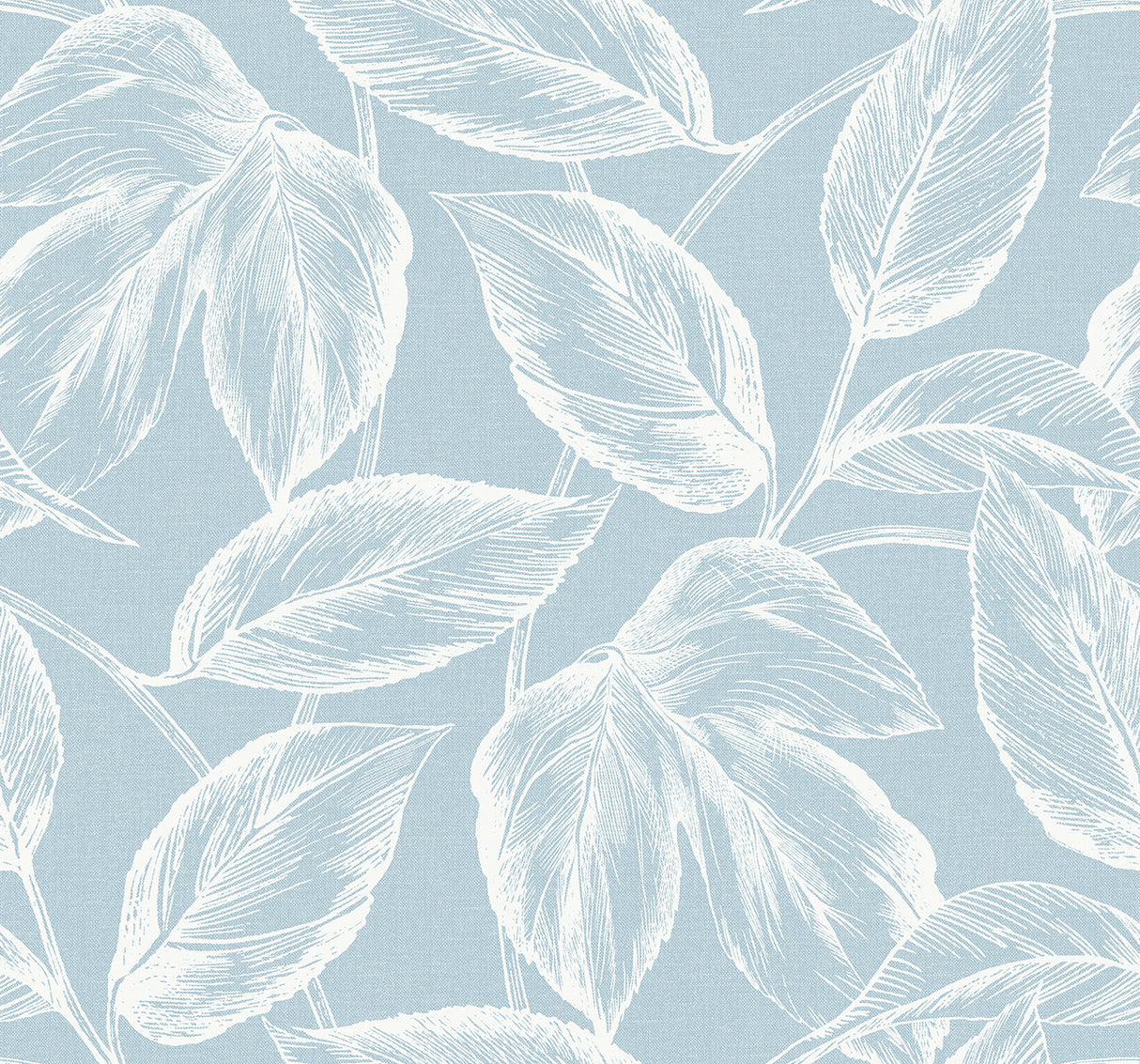 Beckett Sketched Leaves wallpaper in baby blue with white sketched leaf branches, matte finish