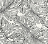Black and white monstera leaf tropical botanical wallpaper pattern
