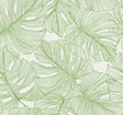 Green line-drawn monstera leaves on an off-white background wallpaper pattern (Tarra Monstera Leaf, Hill Green).
