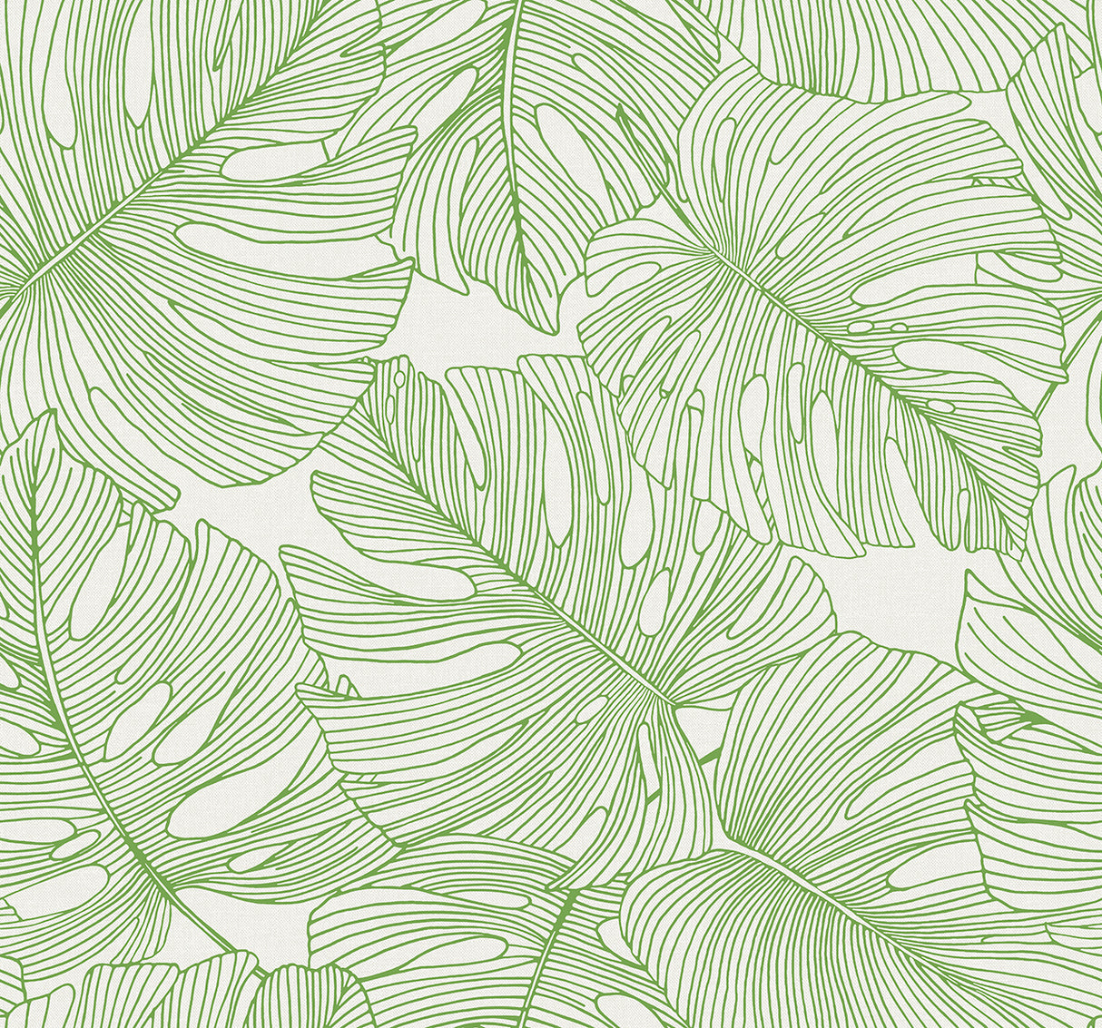 Green line-drawn monstera leaves on an off-white background wallpaper pattern (Tarra Monstera Leaf, Hill Green).