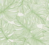 Green line-drawn monstera leaves on an off-white background wallpaper pattern (Tarra Monstera Leaf, Hill Green).