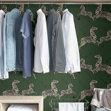 Serengeti Green Zebra Safari Peel & Stick Wallpaper with Scalamandré Signature Zebra Print - SCS3871
