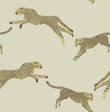 Leaping Cheetah Dune Peel & Stick Wallpaper with Novelty Feature Wall Style - SCS4274