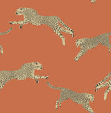 Leaping Cheetah Clementine Peel & Stick Wallpaper with Novelty Animal Pattern, Feature Wall Style - SCS4275