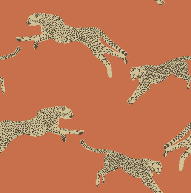 Leaping Cheetah Clementine Peel & Stick Wallpaper with Novelty Animal Pattern, Feature Wall Style - SCS4275