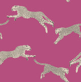 Leaping Cheetah Bubblegum Peel & Stick Wallpaper with Novelty Animal Pattern, Feature Wall Style - SCS4276