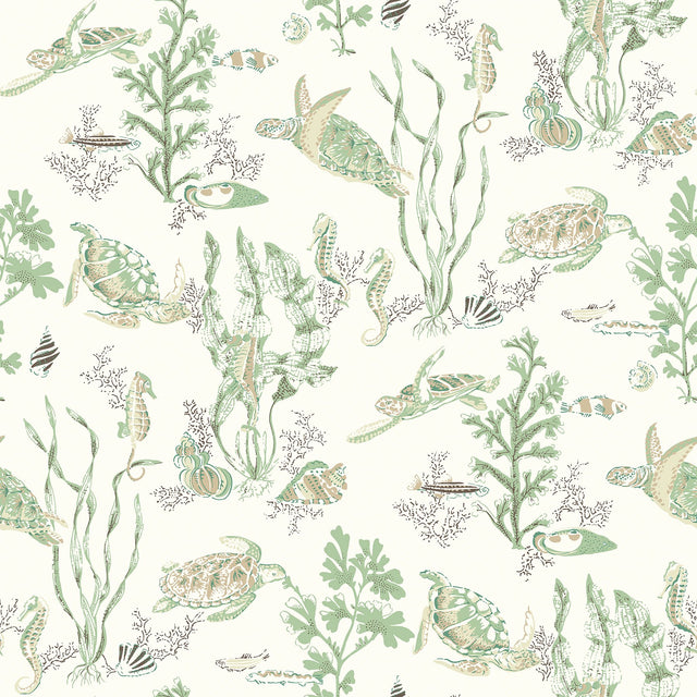 Garparilla Jade & Sandstone Peel & Stick Wallpaper with Coastal Sea Turtle Toile - Brewster SCS6056