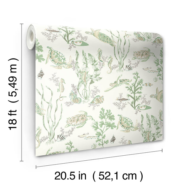 Garparilla Jade & Sandstone Peel & Stick Wallpaper with Coastal Sea Turtle Toile - Brewster SCS6056