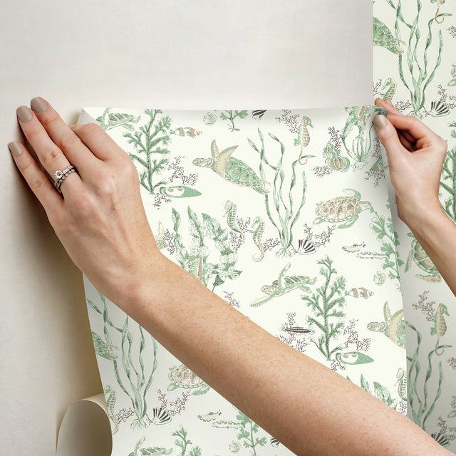 Garparilla Jade & Sandstone Peel & Stick Wallpaper with Coastal Sea Turtle Toile - Brewster SCS6056