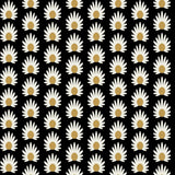 Fleur Black Peel & Stick Wallpaper with Retro Botanical Daisy Pattern - NuWallpaper SCS6058