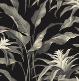 Palma peel and stick wallpaper in Onyx & Alloy with tropical botanical leaves on a black background