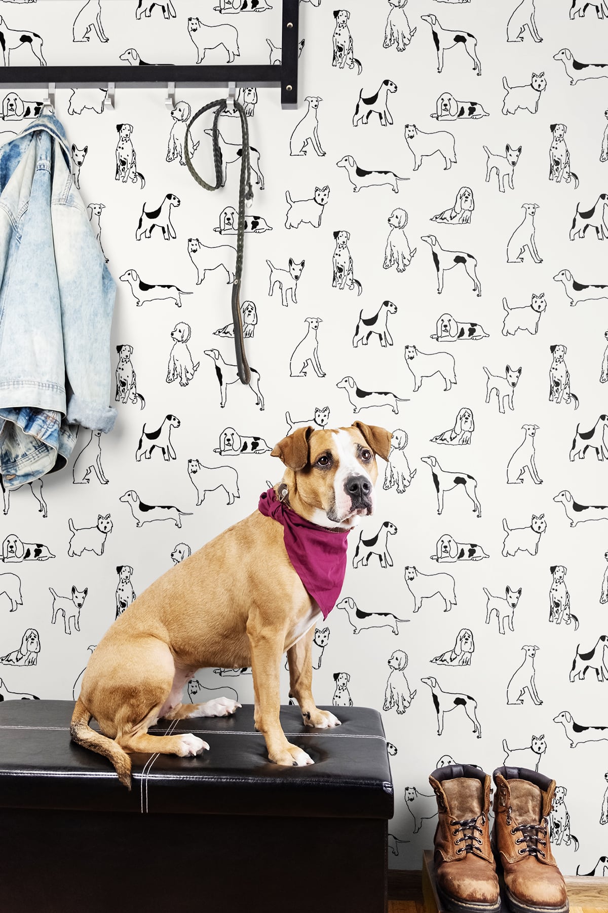 Best in Show Onyx by Stacy Garcia Peel and Stick Dog Print Peel & Stick Wallpaper – Stacy Garcia Home SG10400
