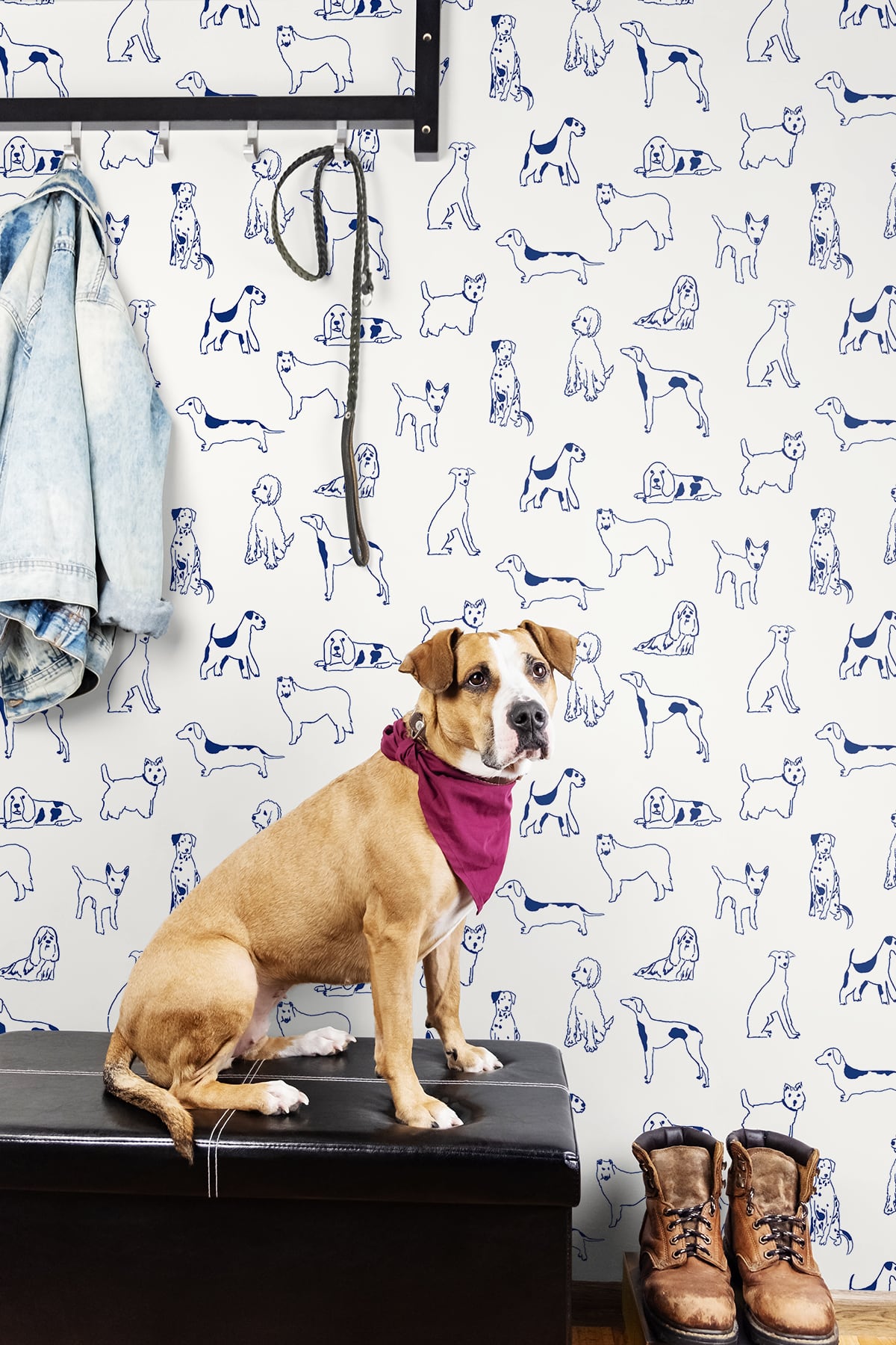 Best in Show Indigo by Stacy Garcia Peel and Stick Peel & Stick Wallpaper – Stacy Garcia Home SG10402