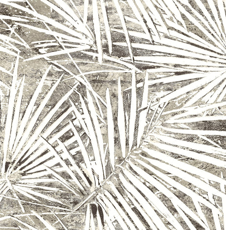 Fossil Palm in Pavestone, a grey palm-leaf botanical peel and stick wallpaper pattern