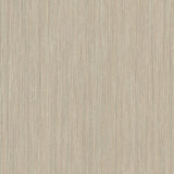 Soft Rain Sand Textured Modern Wallpaper - York SI24617
